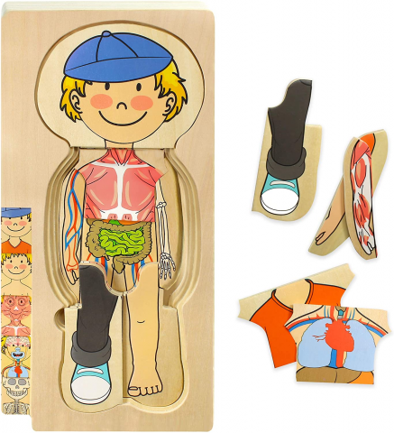 Small Boy Anatomy Wood Puzzle