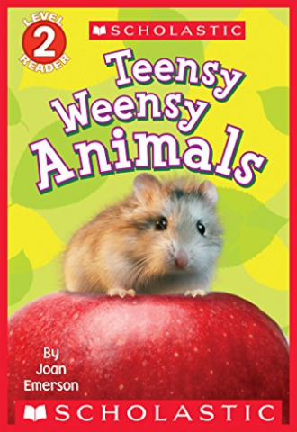 Teensy Weensy Animals 