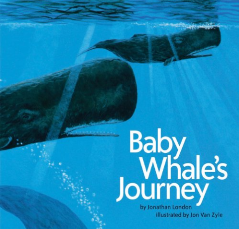 Baby Whale’s Journey 