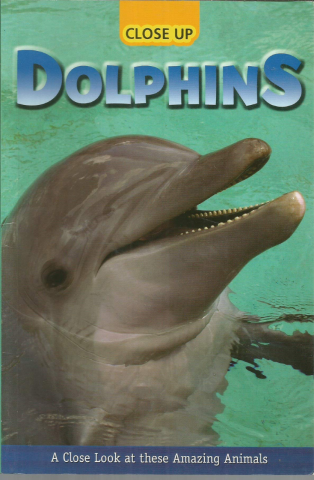 Dolphins: Close Up 