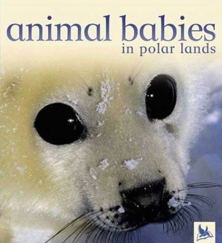 Animal Babies in Polar Lands 