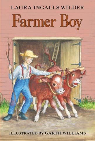 a young farmer boy with two calves