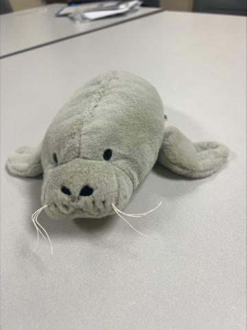 a small gray walrus