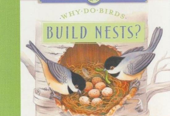 Why Do Birds Build Nests? : The Miracle of Creation Series