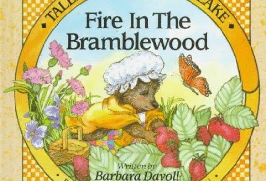 Fire in the Bramblewood: Tales from Schroon Lake