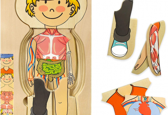 Small Boy Anatomy Wood Puzzle