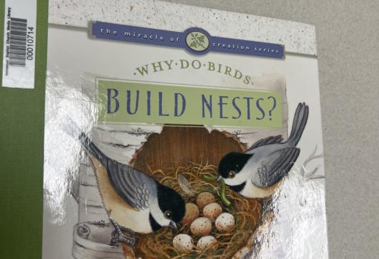 Why Do Birds Build Nests? : The Miracle of Creation Series