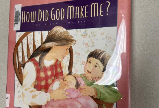 How Did God Make Me? : The Miracle of Birth