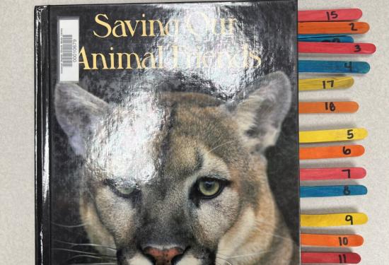 Saving Our Animal Friends