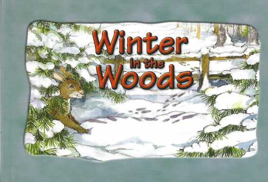 Winter in the Woods