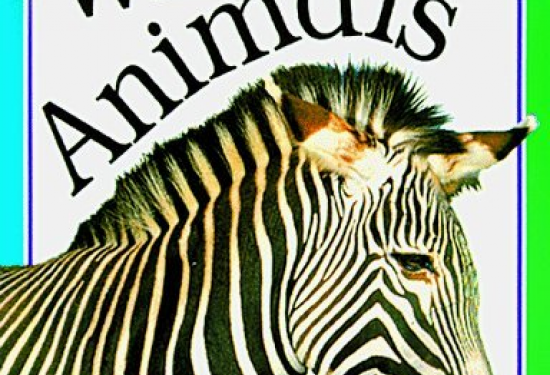 Wild Animals- Snap Shot