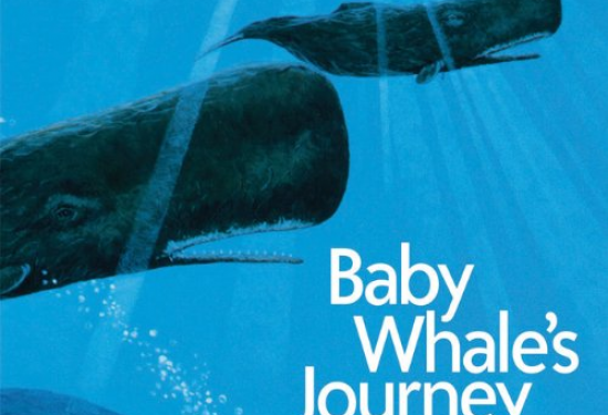 Baby Whale’s Journey 