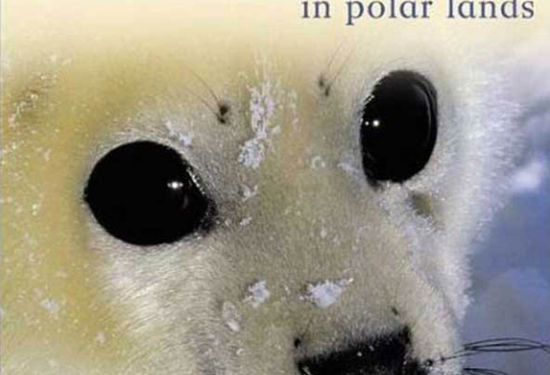 Animal Babies in Polar Lands 