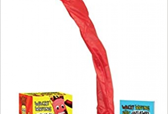 Wacky Waving Inflatable Tube Guy