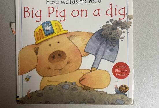 Big Pig on a Dig 