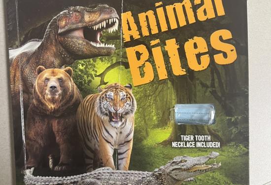 Animal Bites 