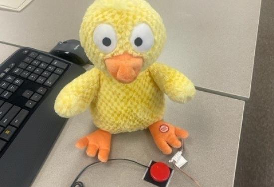 images of yellow chicken with an external switch connected to it.