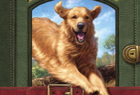 A journal like cover with the middle being a picture of the Golden Retriever Ginger