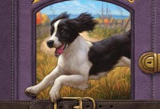 A journal like cover with the middle being a picture of the English Springer Spaniel Dash