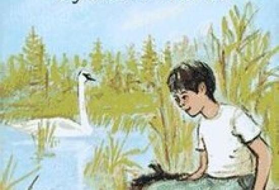 A young boy sitting on a log next to a lake that has a white swan