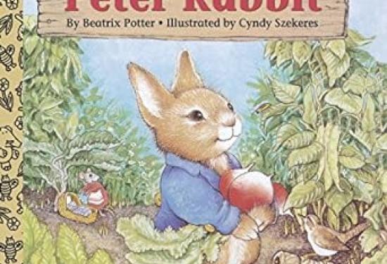 A little rabbit in a blue jacket holding two radishes, smiling and going through a garden