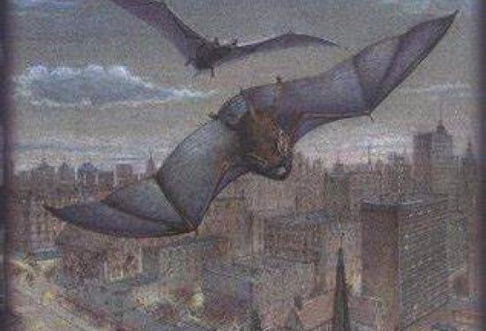 Two bats flying over a city