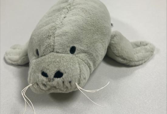 a small gray walrus