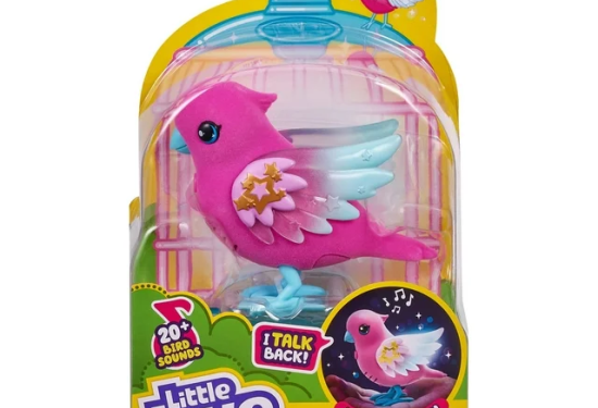 the little pink bird in the little live pet box