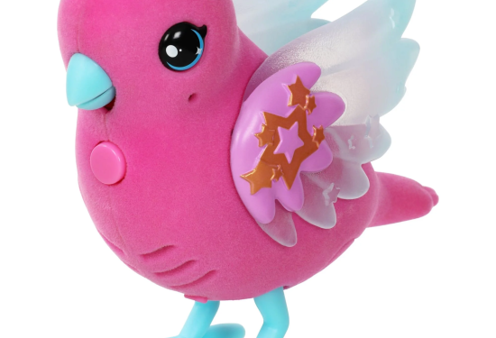 the little pink bird with blue translucent wings